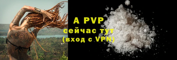 a pvp Магадан