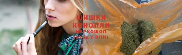 ECSTASY Лиски