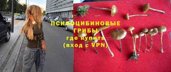 ECSTASY Лиски