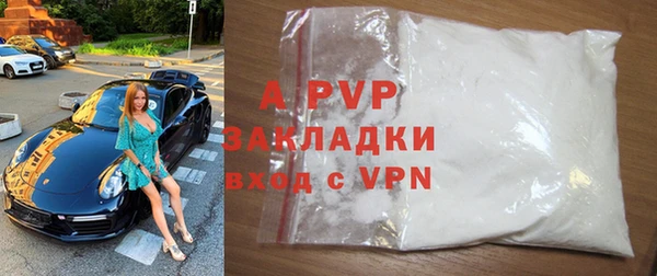 стаф Липки