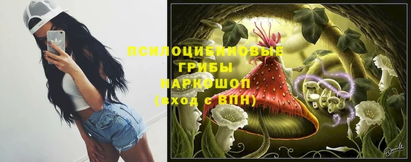 стаф Липки