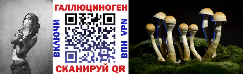 Псилоцибиновые грибы Psilocybe  Сурск 